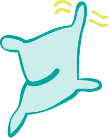 Icon ANIM
